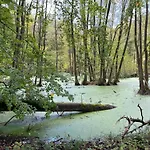 Landurlaub Mecklenburgische Seenplatte B- Waren Mueritz By Interhome