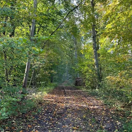 Landurlaub Mecklenburgische Seenplatte B- Waren Mueritz By Interhome Appartement