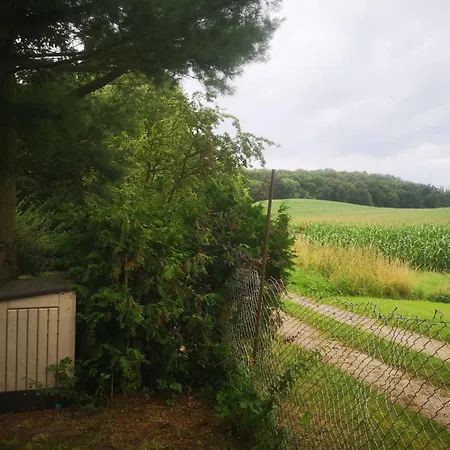 Landurlaub Mecklenburgische Seenplatte B- Waren Mueritz By Interhome *