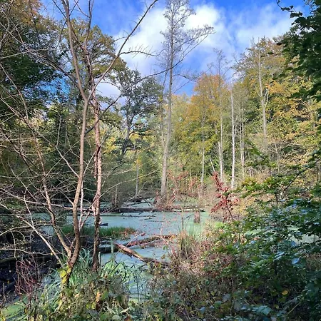 Landurlaub Mecklenburgische Seenplatte B- Waren Mueritz By Interhome Peenehagen