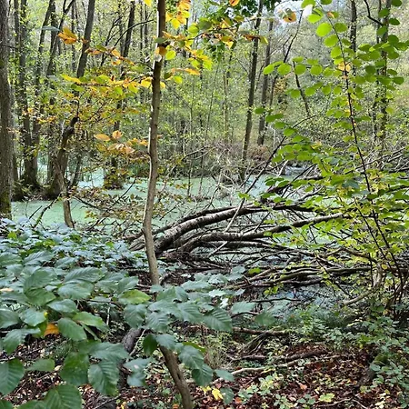 Landurlaub Mecklenburgische Seenplatte B- Waren Mueritz By Interhome Peenehagen