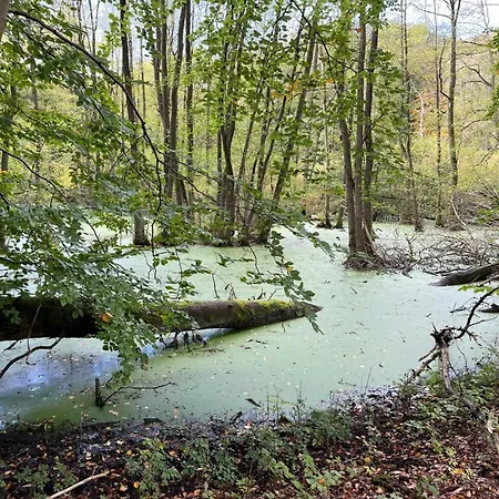 Apartmán Landurlaub Mecklenburgische Seenplatte B- Waren Mueritz By Interhome Peenehagen