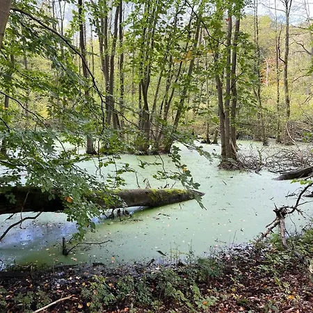 Landurlaub Mecklenburgische Seenplatte B- Waren Mueritz By Interhome Peenehagen