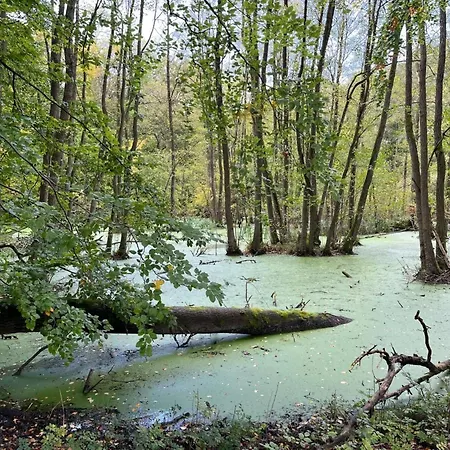 Landurlaub Mecklenburgische Seenplatte B- Waren Mueritz By Interhome