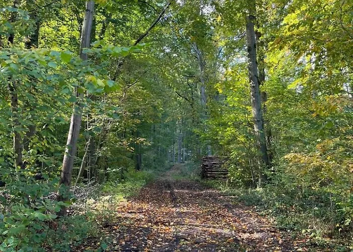 Landurlaub Mecklenburgische Seenplatte B- Waren Mueritz By Interhome Apartmán