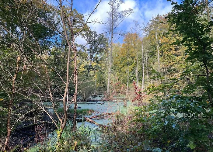 Landurlaub Mecklenburgische Seenplatte B- Waren Mueritz By Interhome Peenehagen