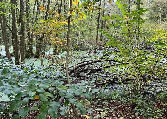 Landurlaub Mecklenburgische Seenplatte B- Waren Mueritz By Interhome Peenehagen