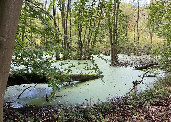 Lägenhet Landurlaub Mecklenburgische Seenplatte B- Waren Mueritz By Interhome Peenehagen