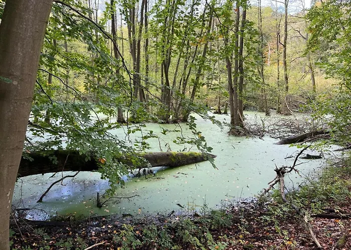 Landurlaub Mecklenburgische Seenplatte B- Waren Mueritz By Interhome Peenehagen