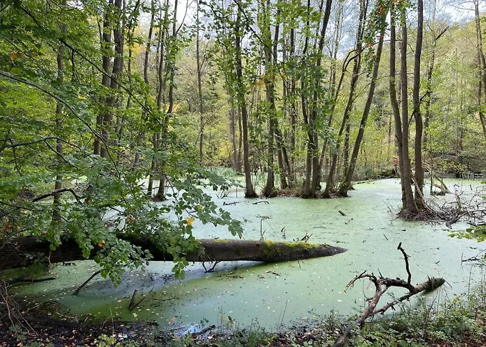 Landurlaub Mecklenburgische Seenplatte B- Waren Mueritz By Interhome