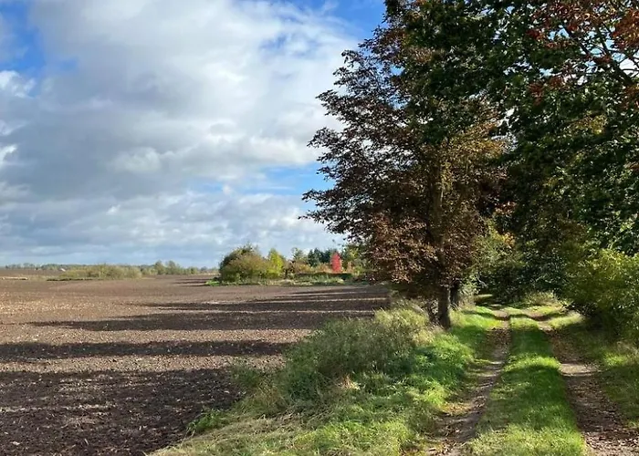 Lägenhet Landurlaub Mecklenburgische Seenplatte B- Waren Mueritz By Interhome Peenehagen