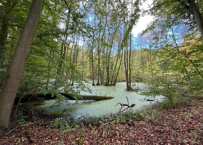 Apartmán Landurlaub Mecklenburgische Seenplatte B- Waren Mueritz By Interhome